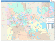 Lakeland-Winter Haven Metro Area Wall Map Color Cast Style